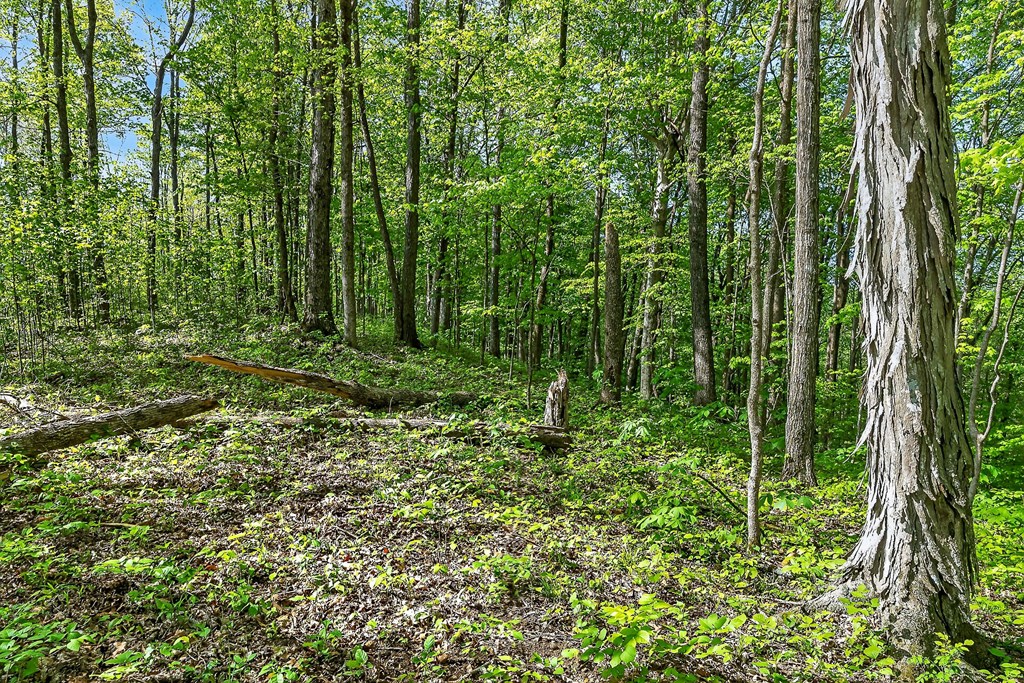 107.7 ac Board Valley Rd