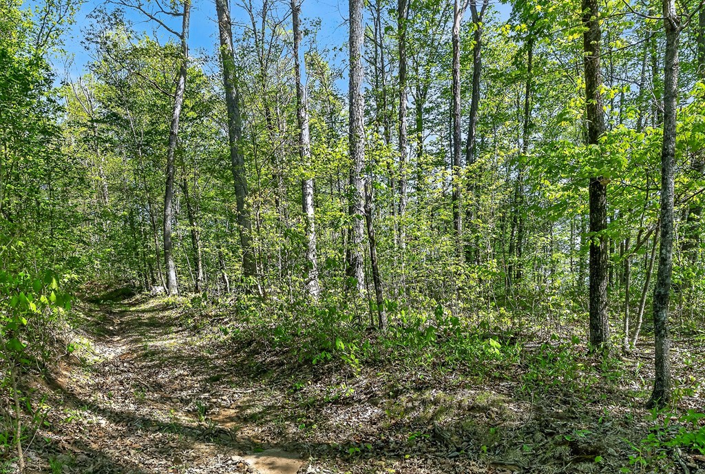 107.7 ac Board Valley Rd