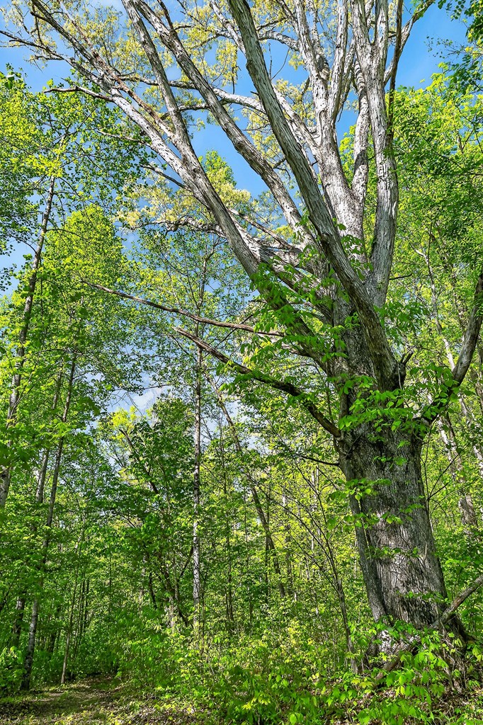 107.7 ac Board Valley Rd