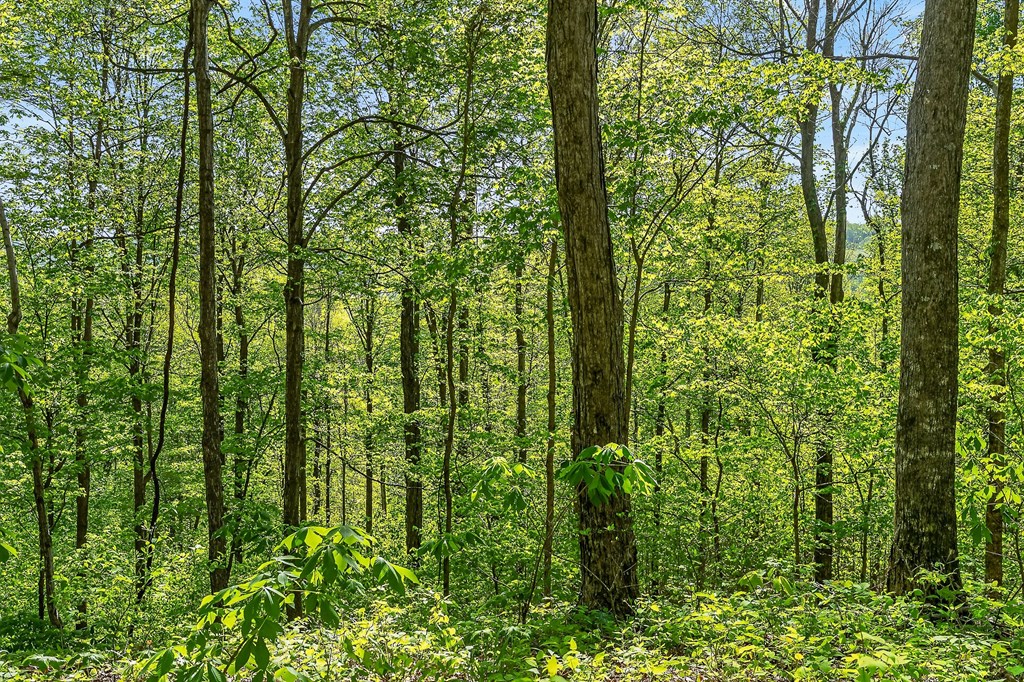 107.7 ac Board Valley Rd