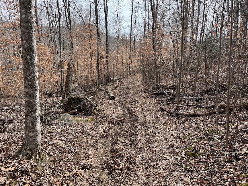 107.7 ac Board Valley Rd