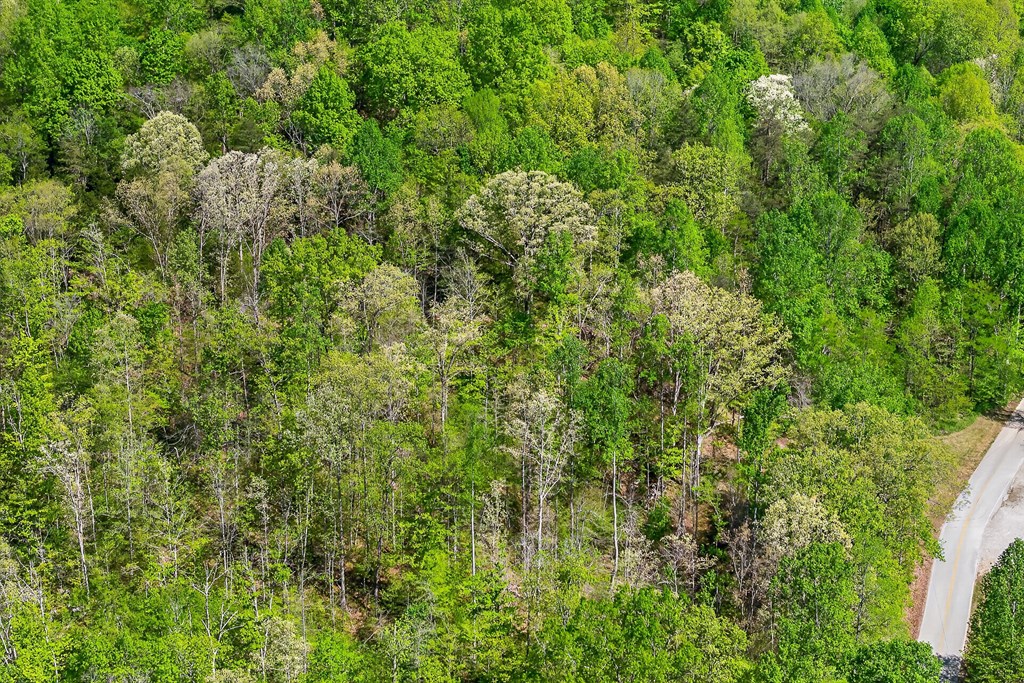 107.7 ac Board Valley Rd