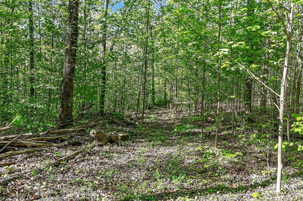 107.7 ac Board Valley Rd