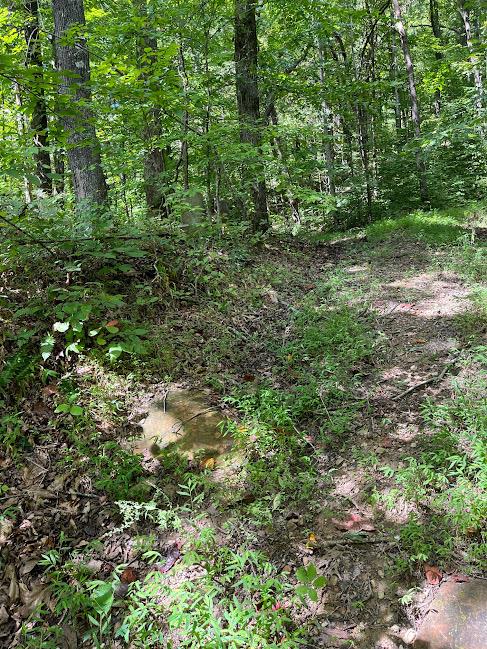 107.7 ac Board Valley Rd