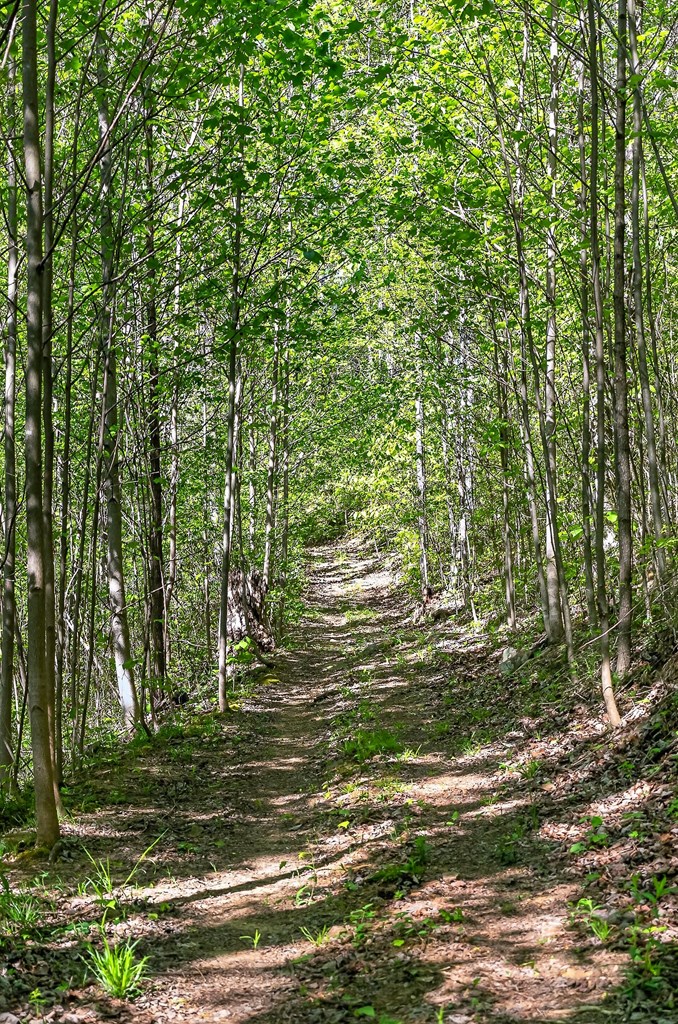 107.7 ac Board Valley Rd