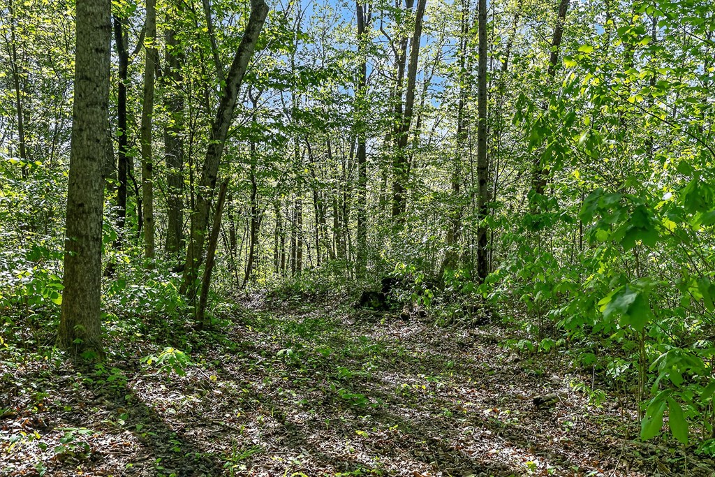 107.7 ac Board Valley Rd