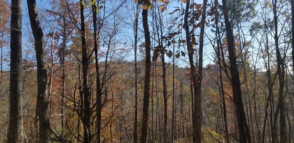 107.7 ac Board Valley Rd