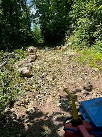 107.7 ac Board Valley Rd