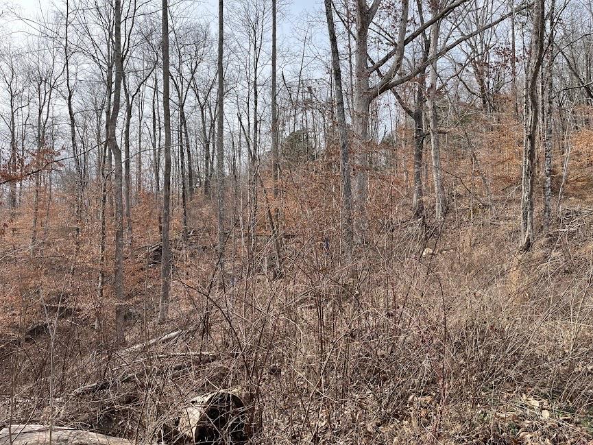 107.7 ac Board Valley Rd