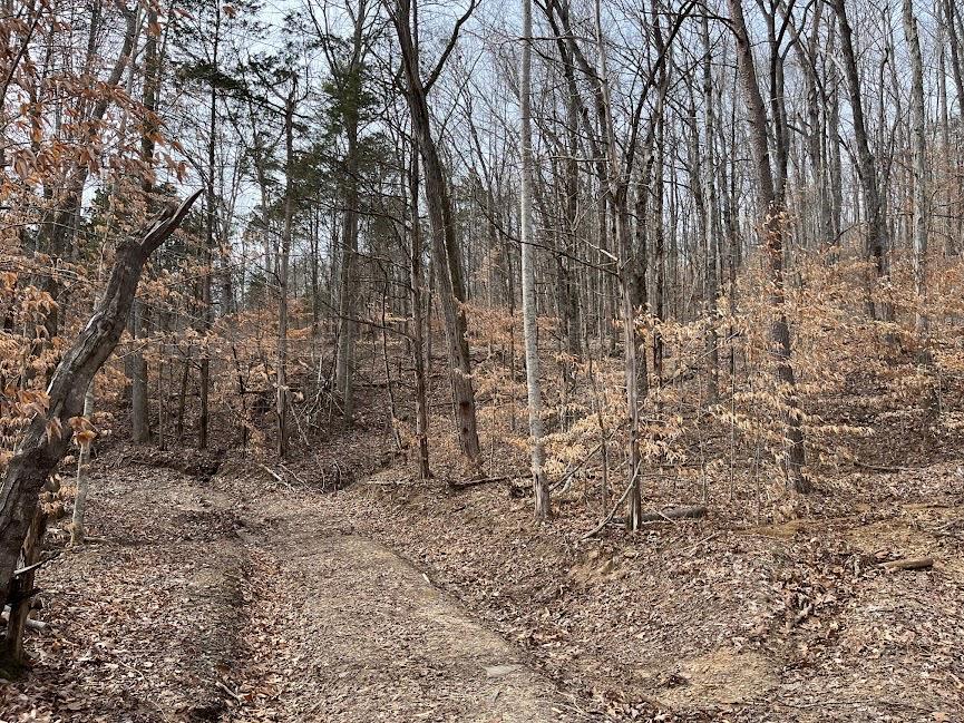 107.7 ac Board Valley Rd