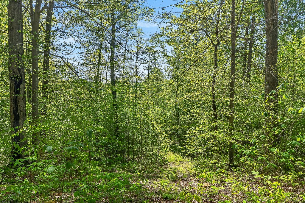 107.7 ac Board Valley Rd