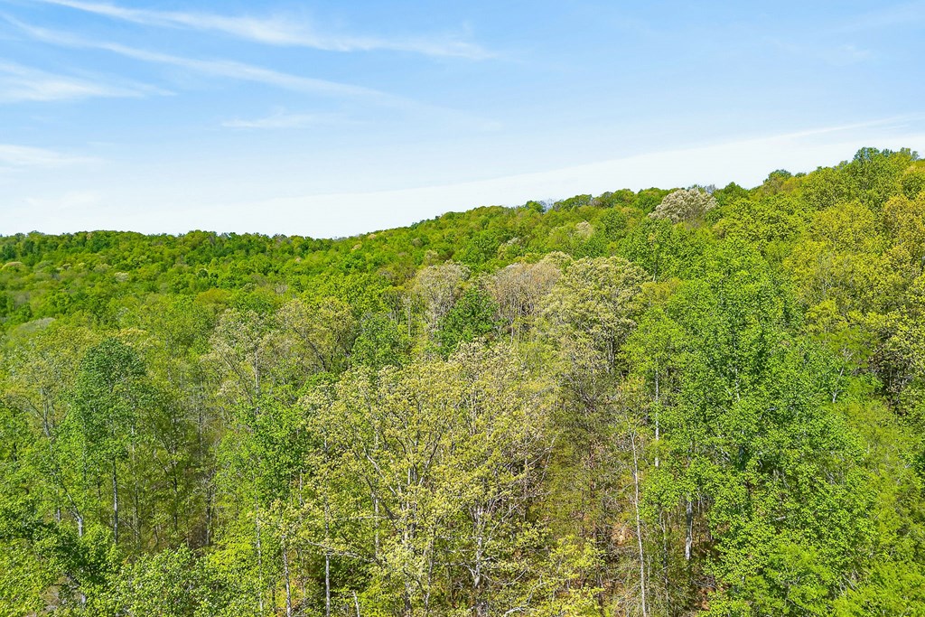 107.7 ac Board Valley Rd