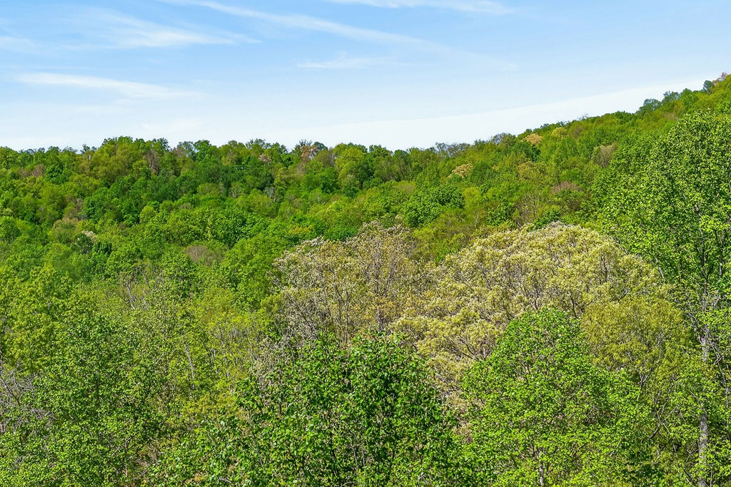 107.7 ac Board Valley Rd