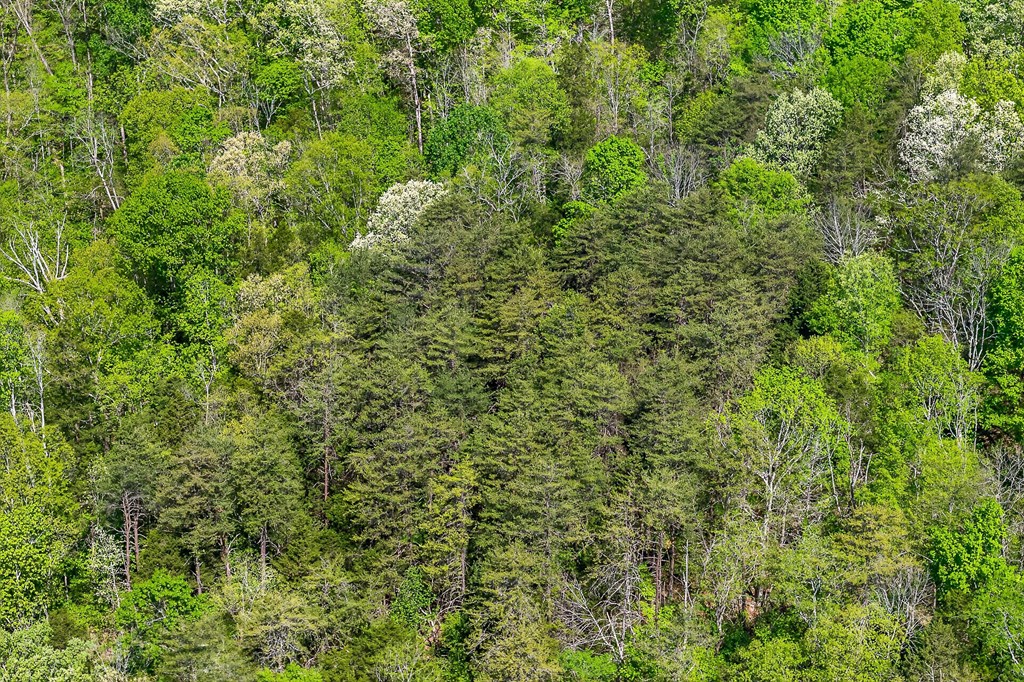 107.7 ac Board Valley Rd