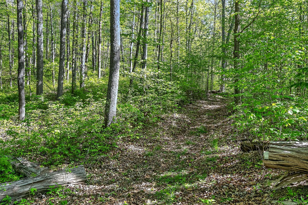 107.7 ac Board Valley Rd