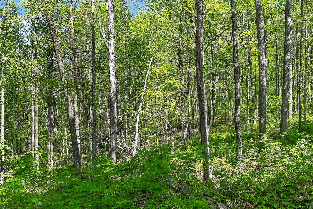 107.7 ac Board Valley Rd