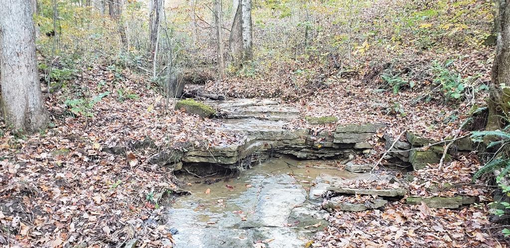 107.7 ac Board Valley Rd