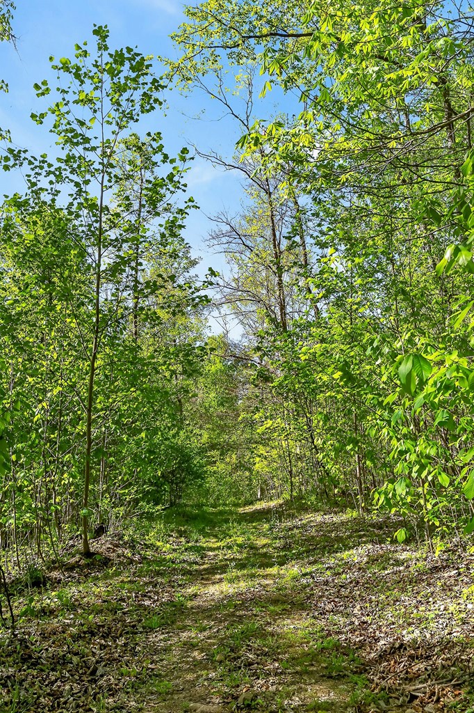 107.7 ac Board Valley Rd