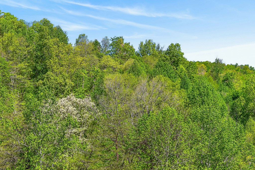 107.7 ac Board Valley Rd