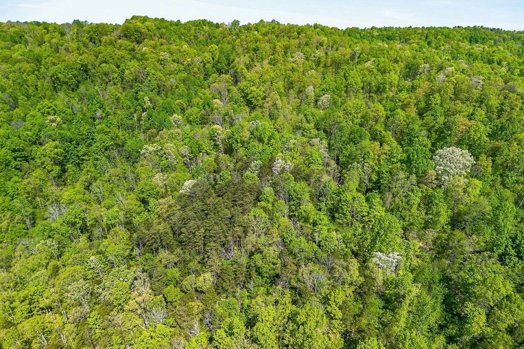 107.7 ac Board Valley Rd