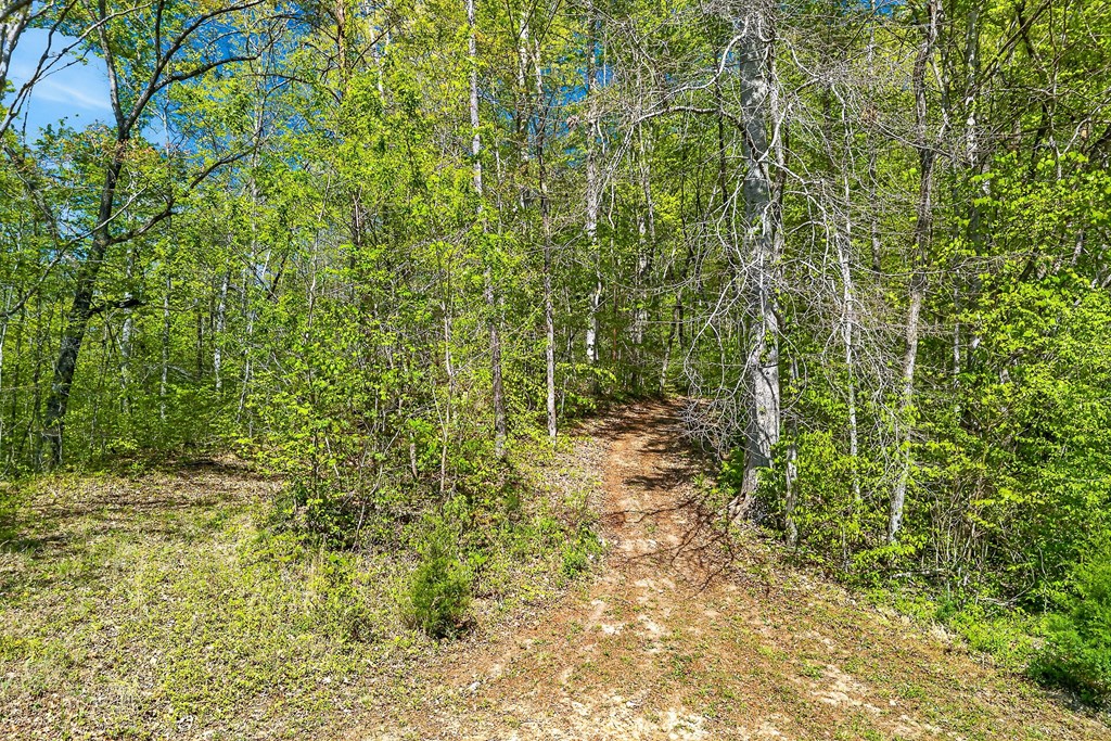 107.7 ac Board Valley Rd