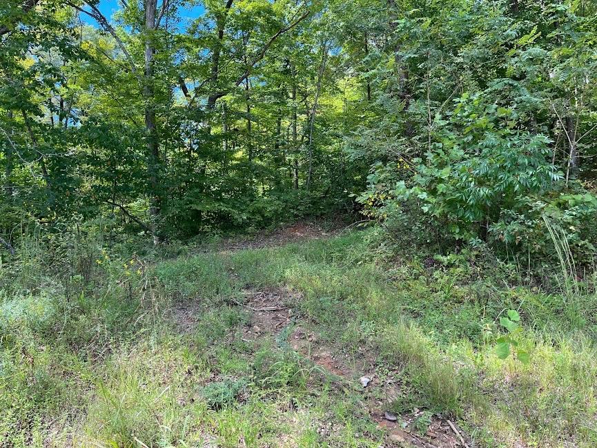 107.7 ac Board Valley Rd