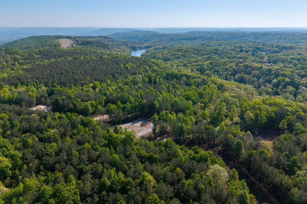 706 Topside Dr