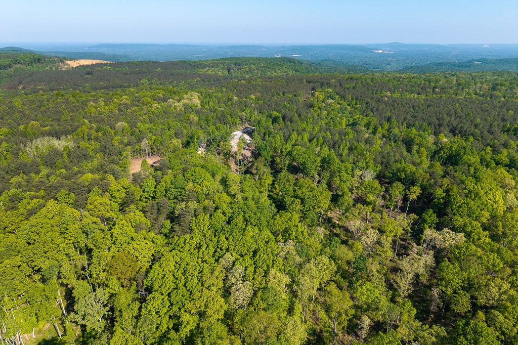 706 Topside Dr