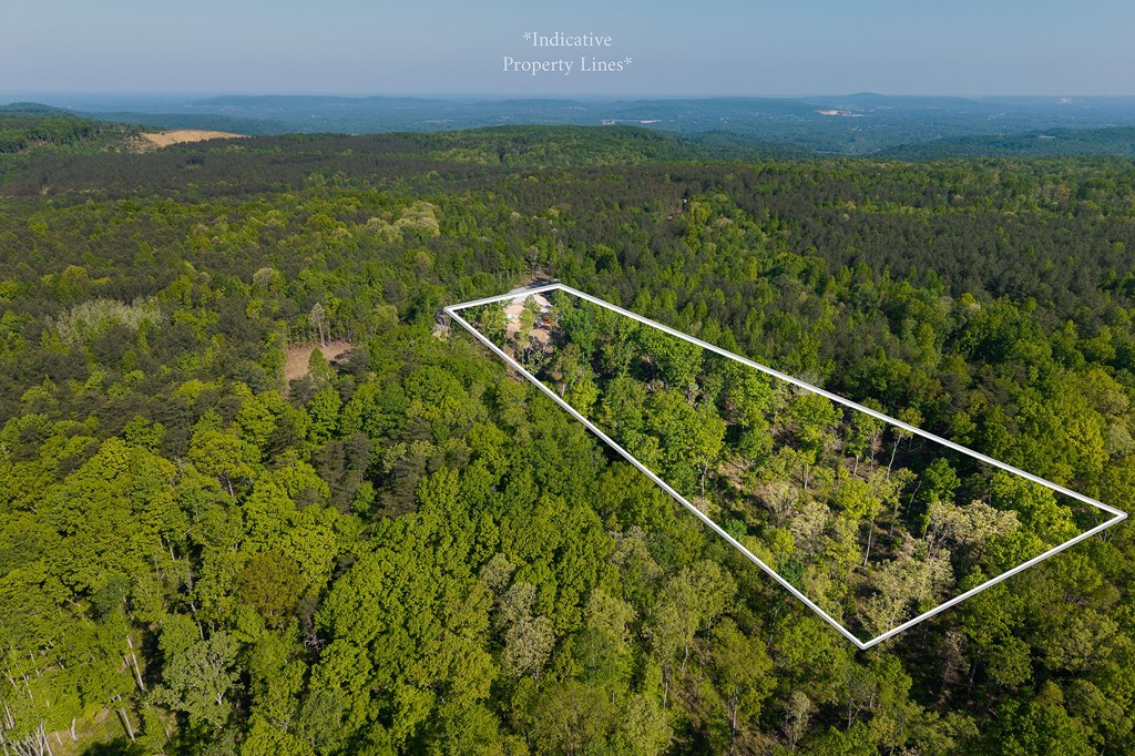 706 Topside Dr
