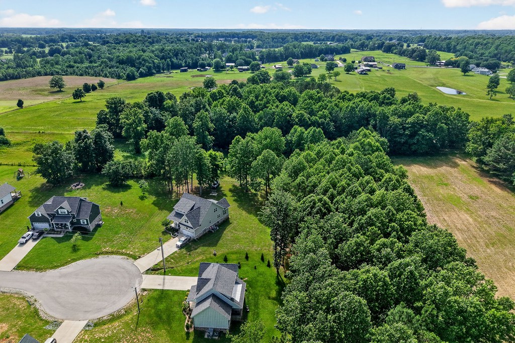 4509 Jack Drive