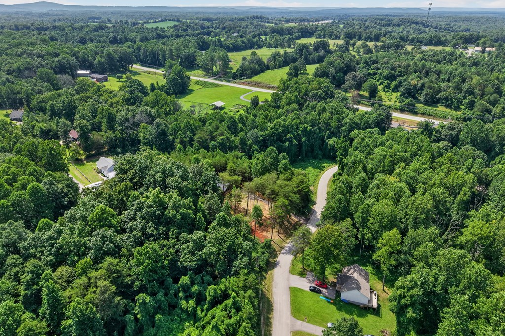 230 Hickory Lane