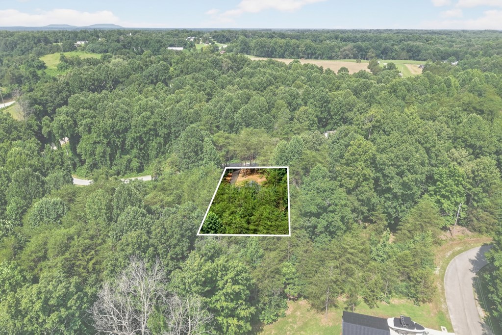 230 Hickory Lane