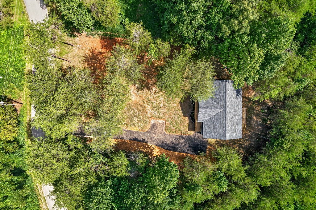 230 Hickory Lane
