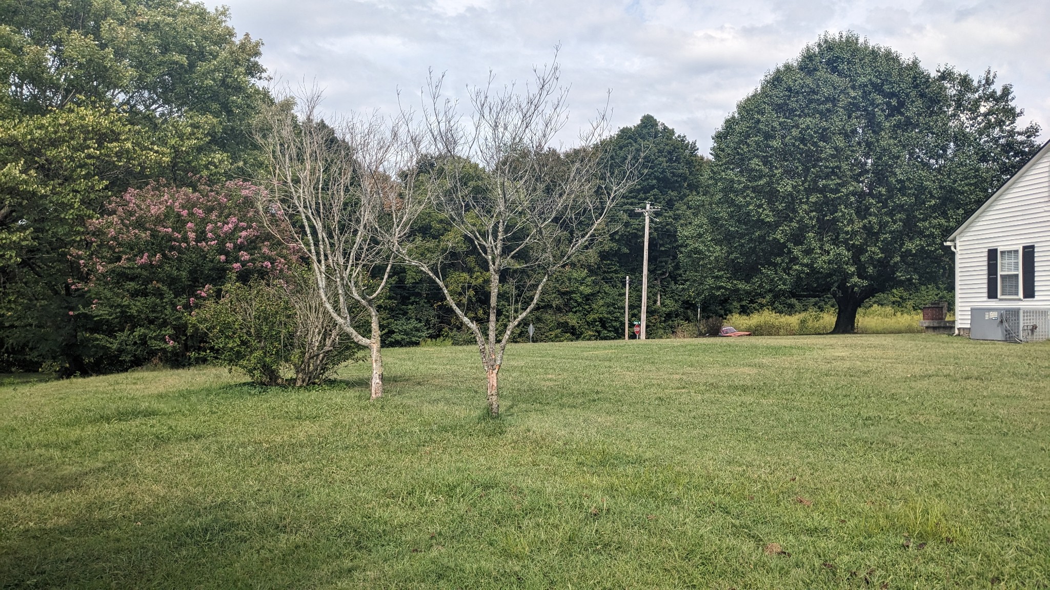 104 Davis Rd