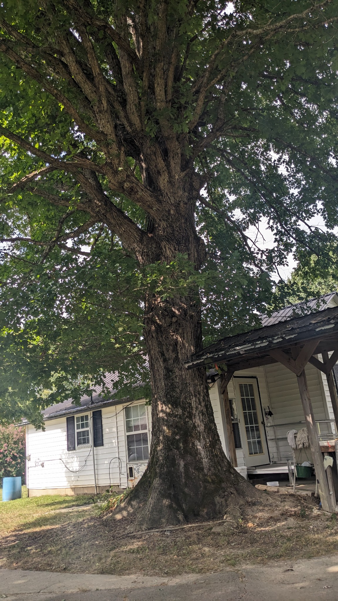 104 Davis Rd