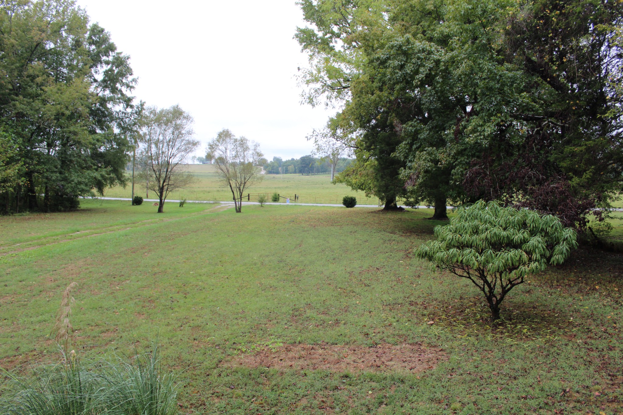 209 Bryan Gribble Rd