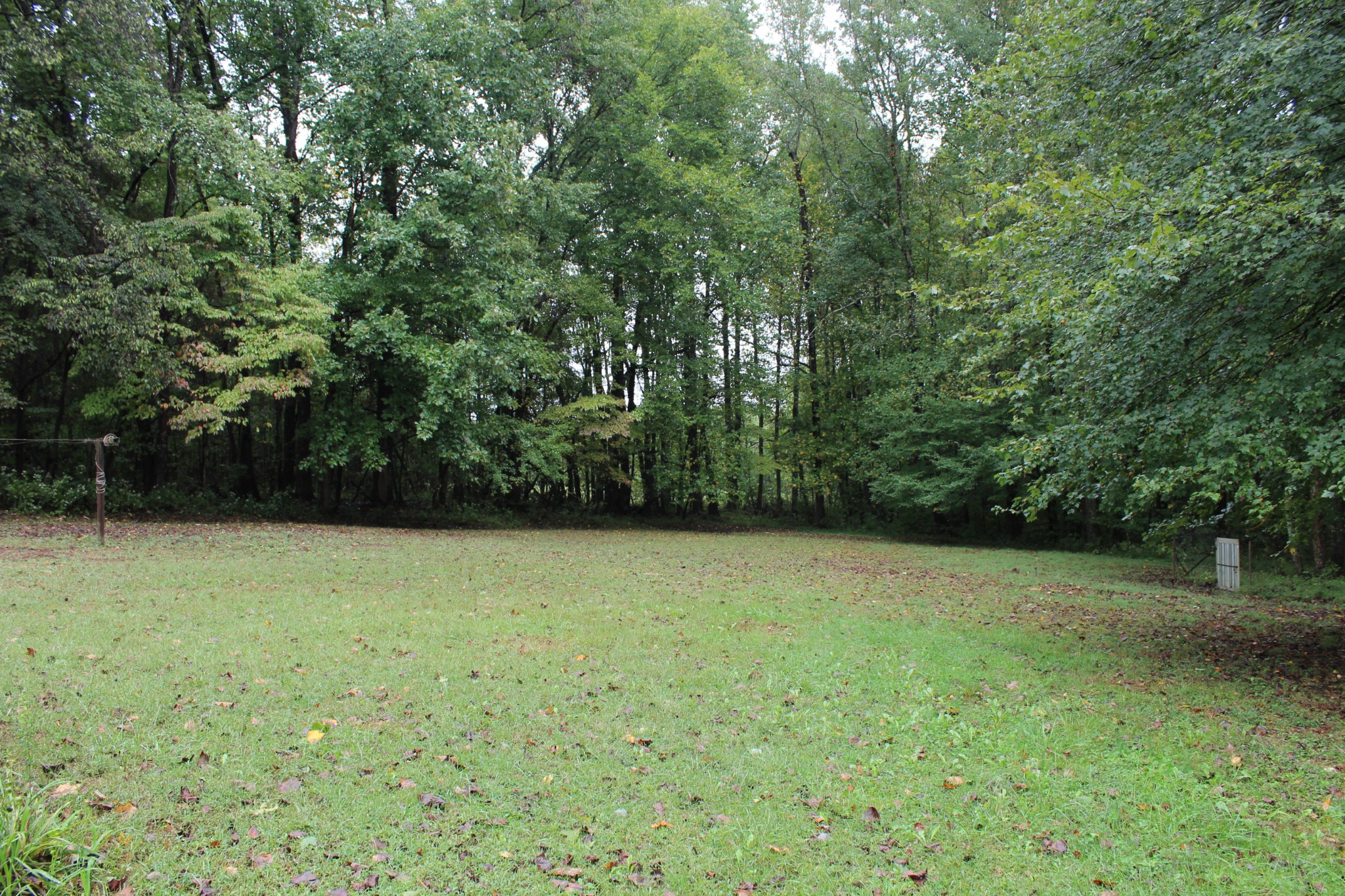 209 Bryan Gribble Rd