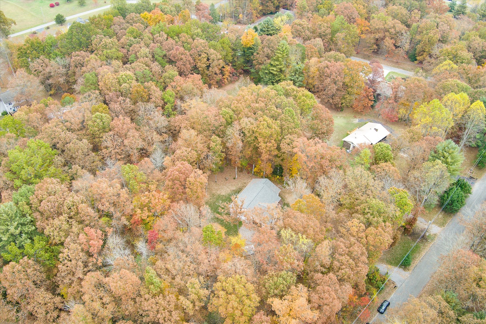 206 Whitehead Dr