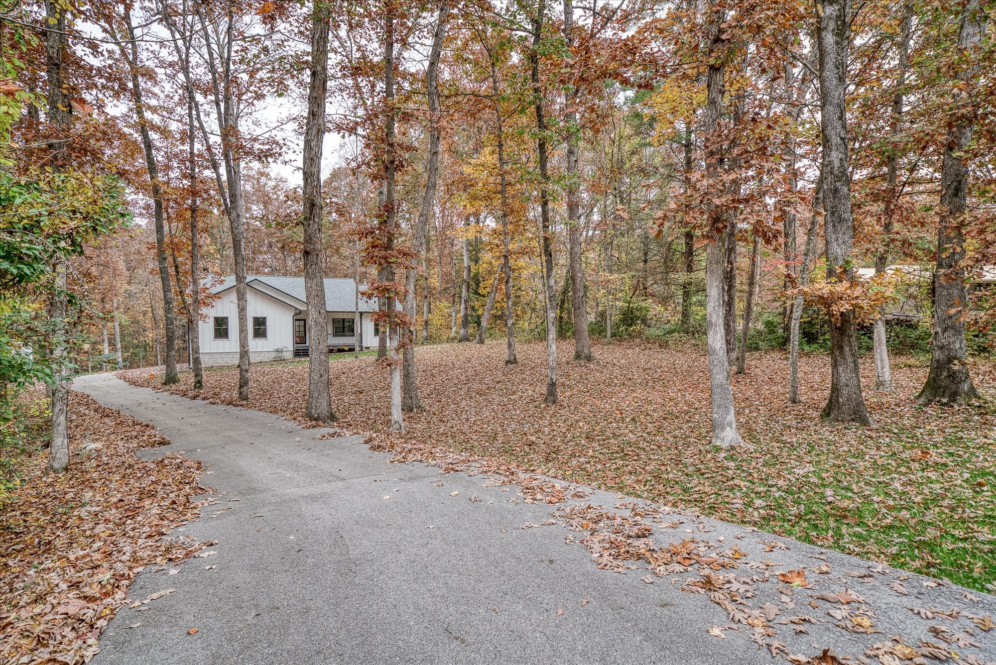 206 Whitehead Dr