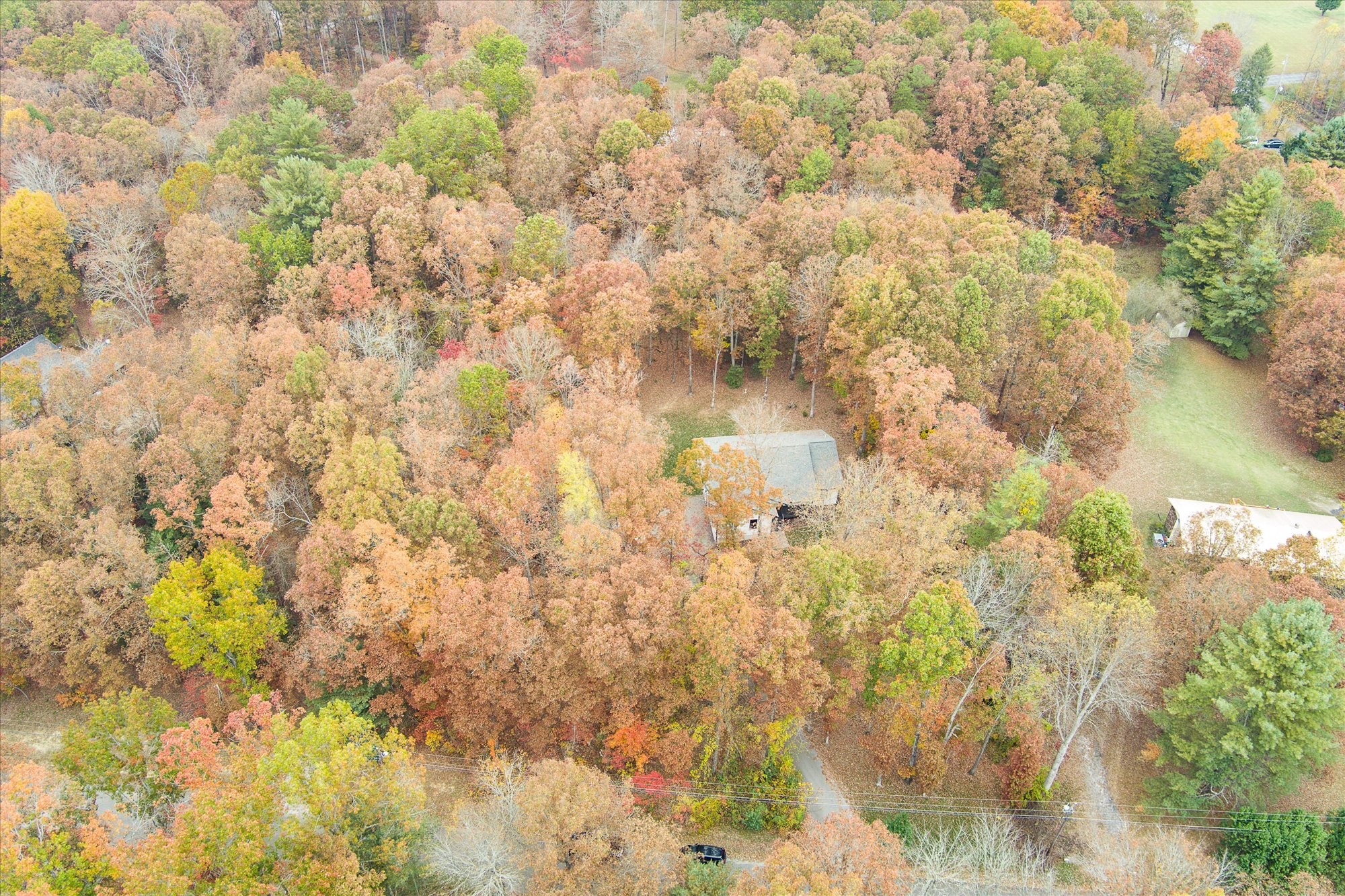 206 Whitehead Dr