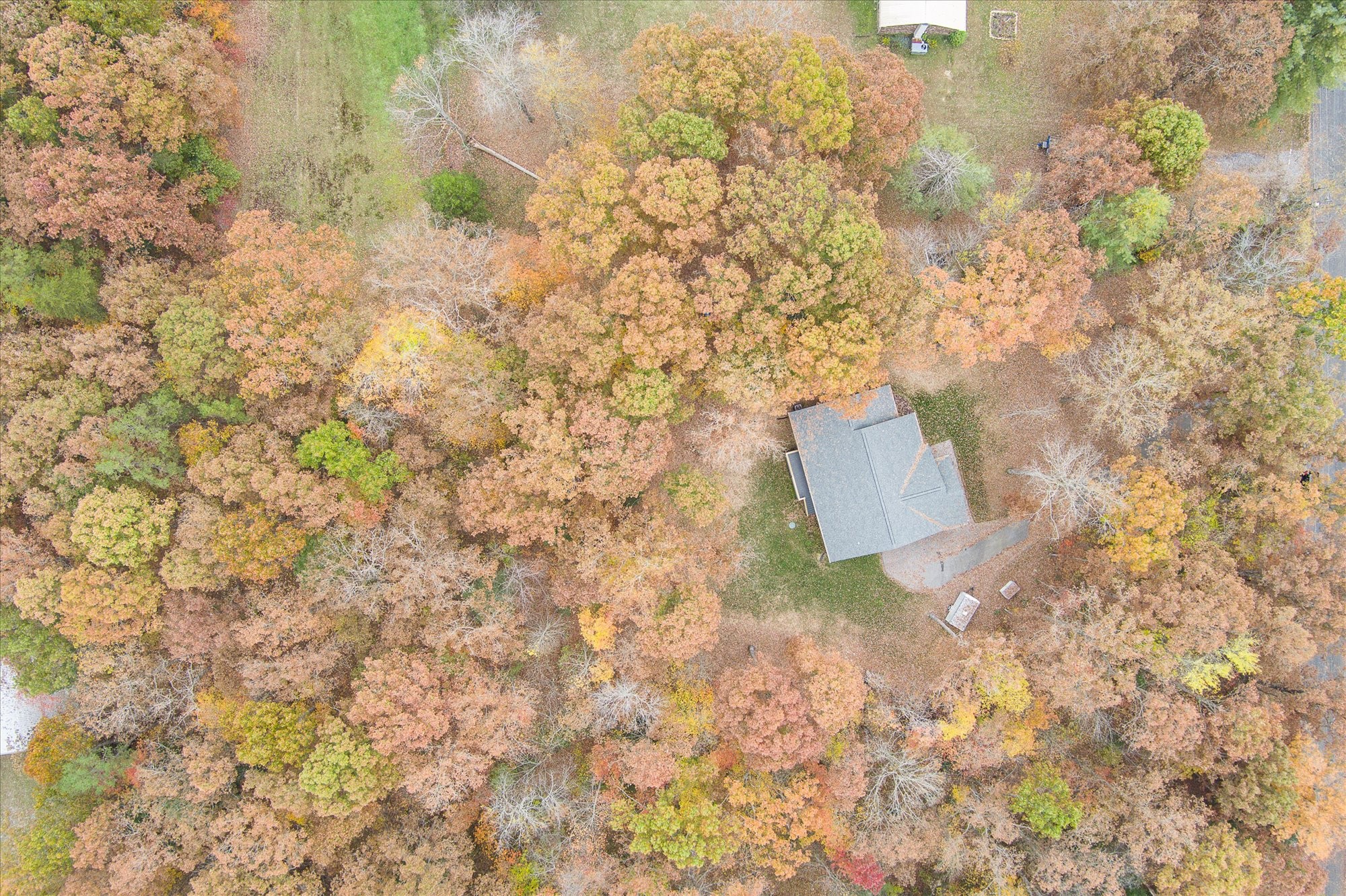 206 Whitehead Dr