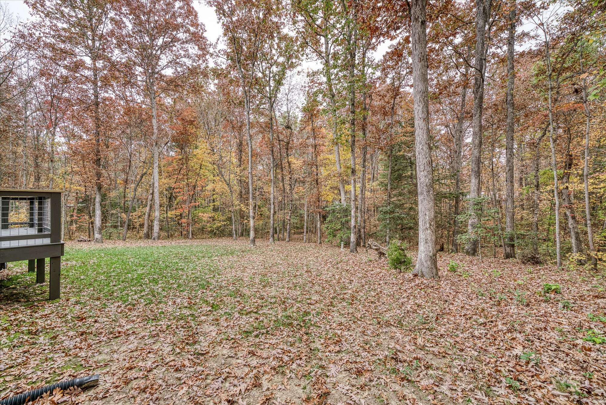 206 Whitehead Dr