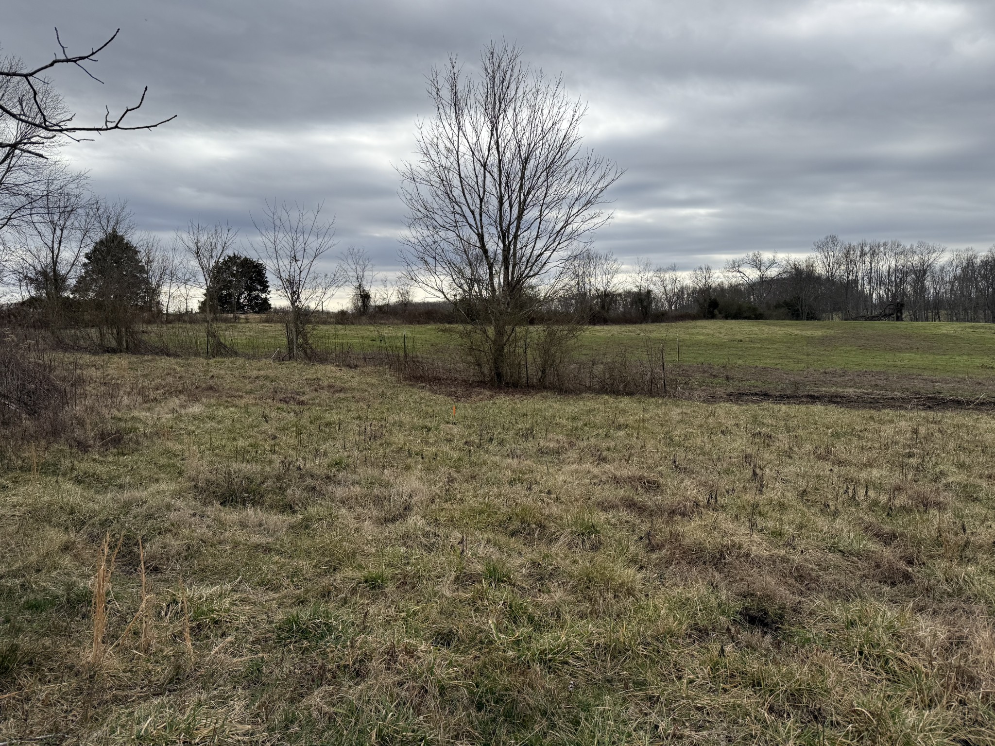 0 Thomas Twin Oaks Rd