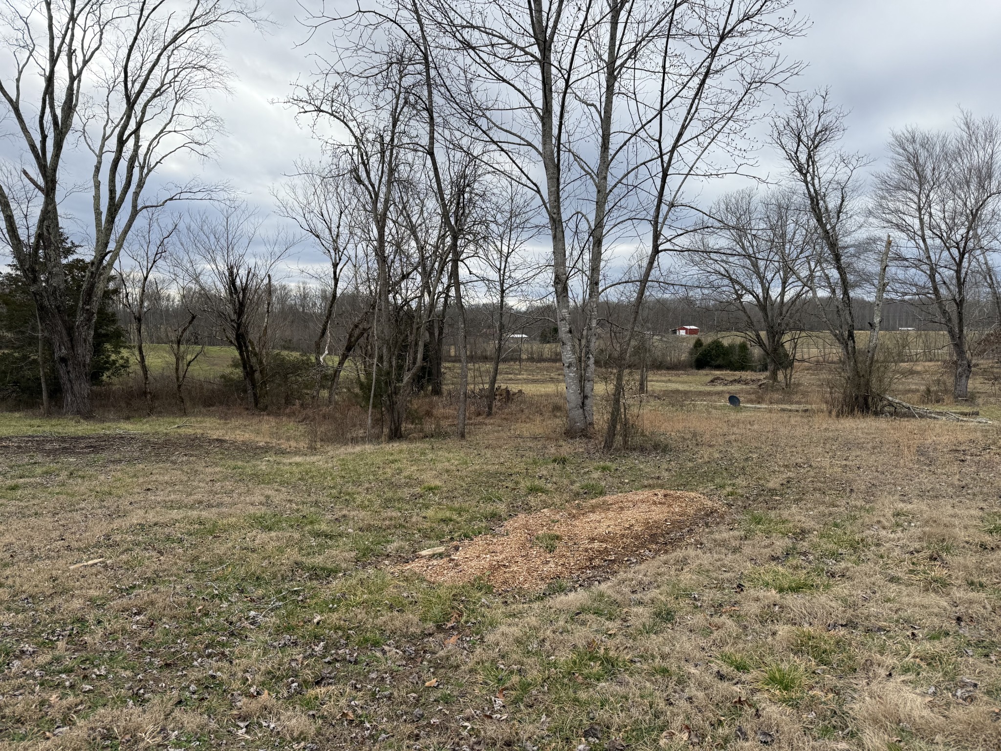 0 Thomas Twin Oaks Rd