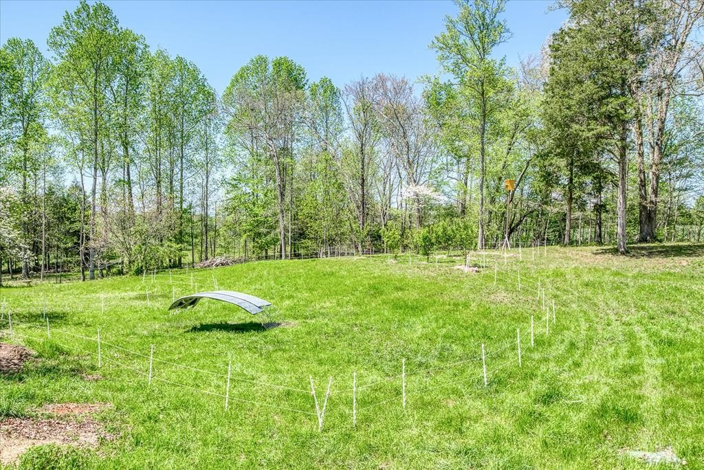 1563 Boyd Creek Rd