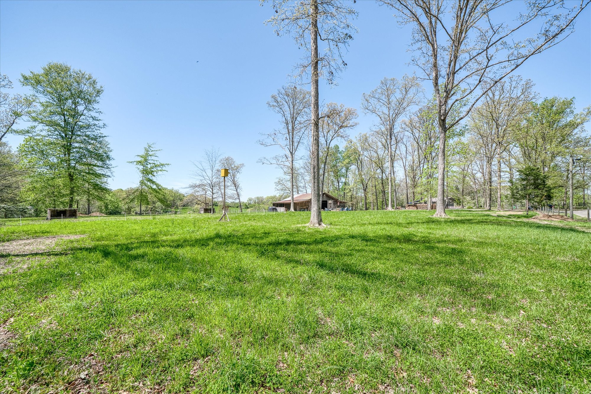1563 Boyd Creek Rd