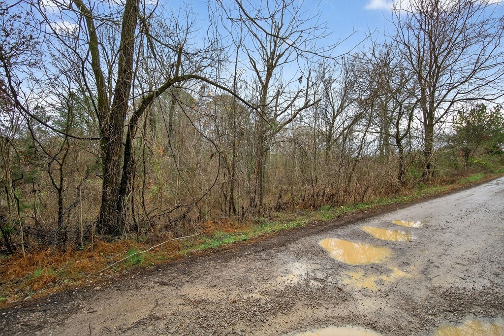 0 N Center Point Acres