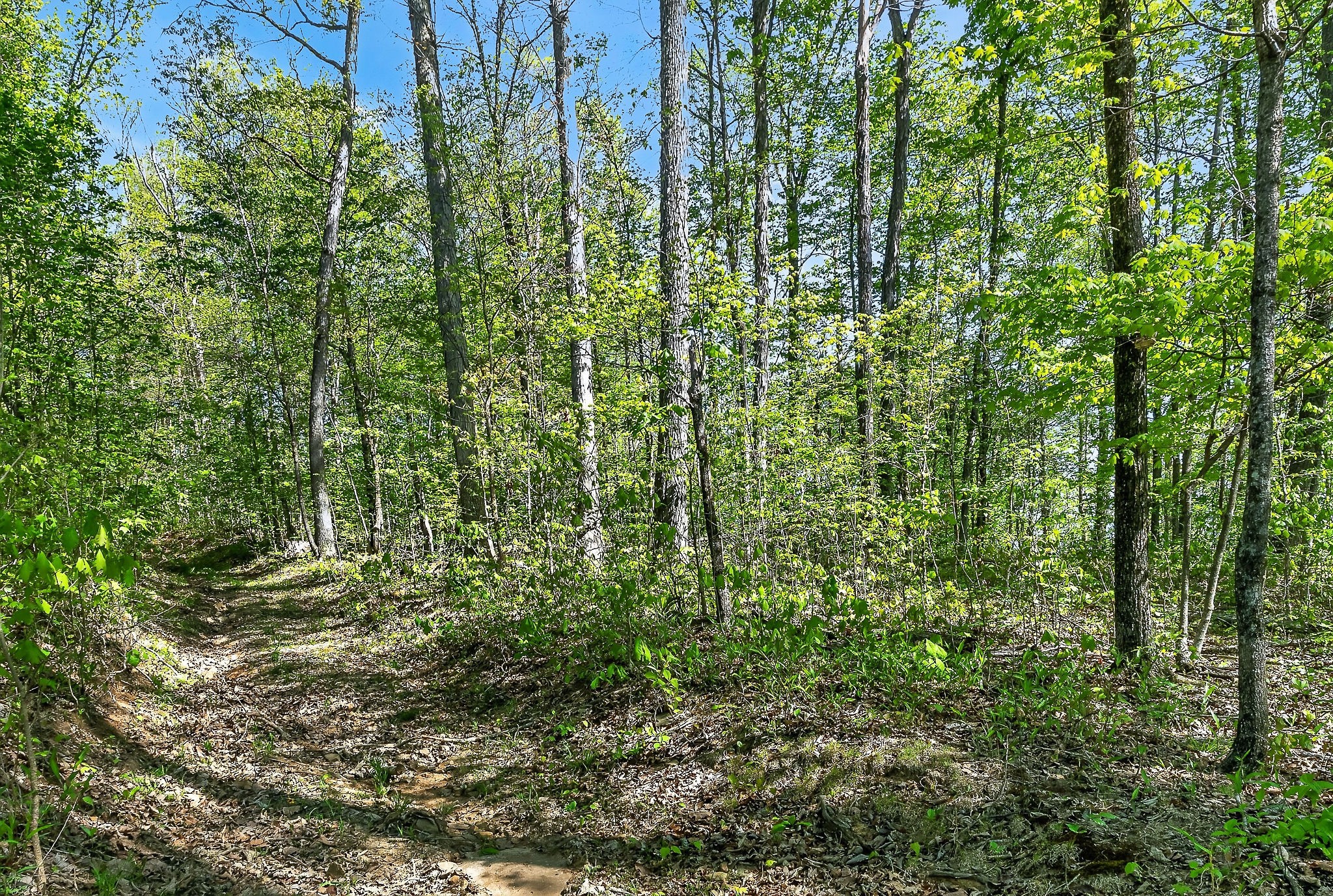 0 Board Valley Rd