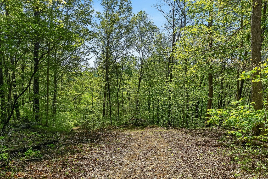 0 Board Valley Rd
