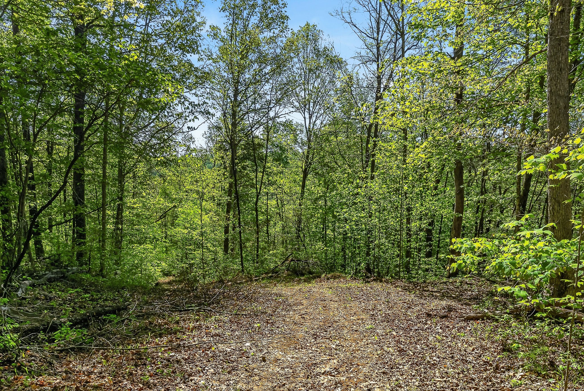 0 Board Valley Rd